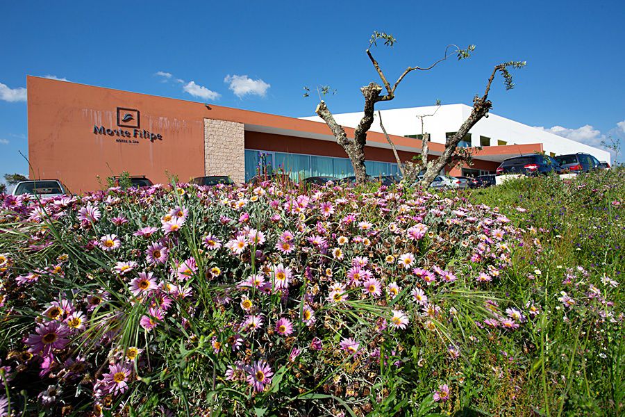 Monte Filipe Hotel Alpalhão Esterno foto